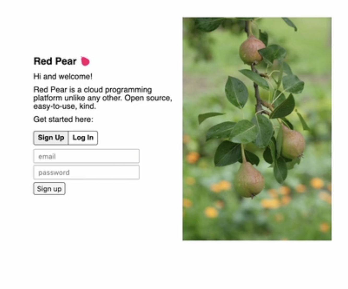 red pear
